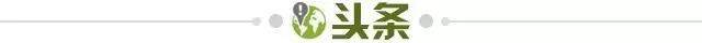 【早报】疯了!沙特王室下场3亿年薪报价维尼修斯! 【早报】疯了!沙特王室下场3亿年薪报价维尼修斯!